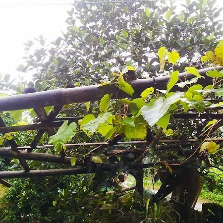 Homestay 목쩌우 외부 사진