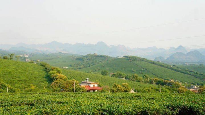 Homestay 목쩌우 외부 사진
